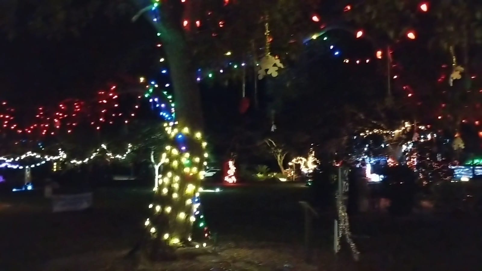 Monty Andrews Arboretum @ West Blalock Park, photo 2