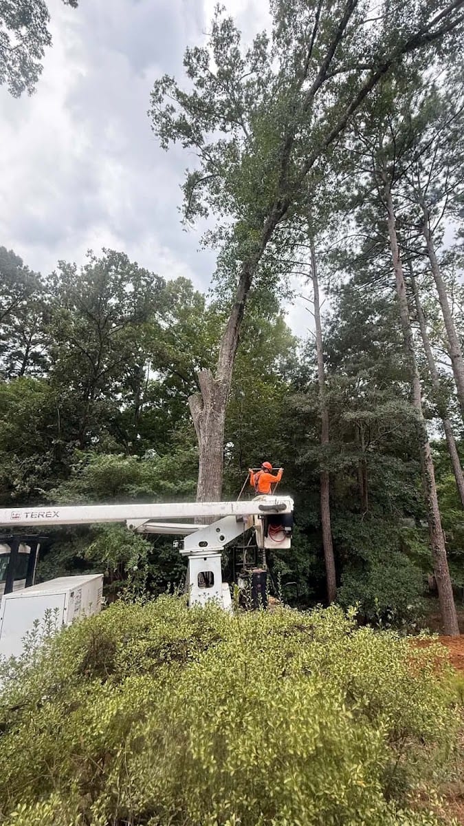 Googe Tree Service and Design, photo 2
