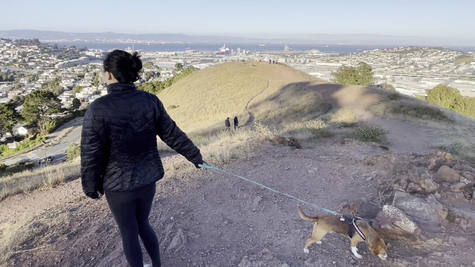 Bernal Heights Dog Play Area, photo 2