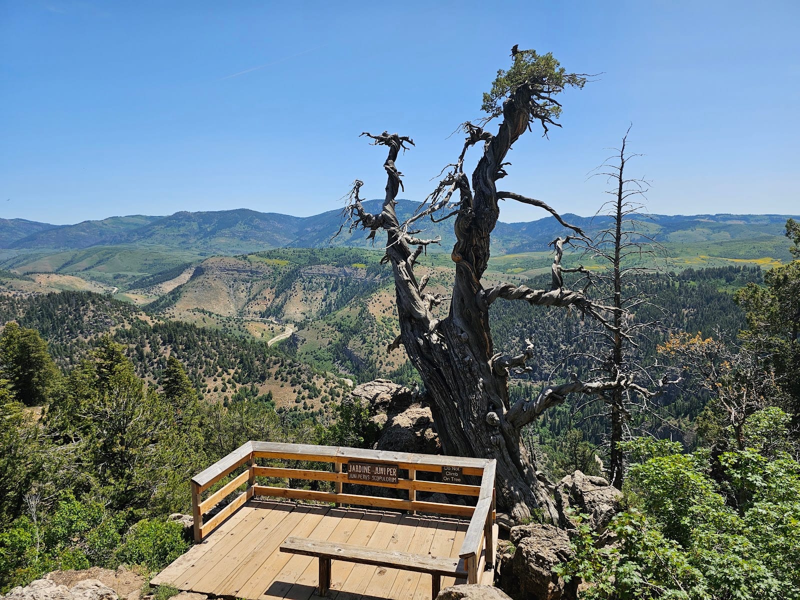 Jardine Juniper Trail Head