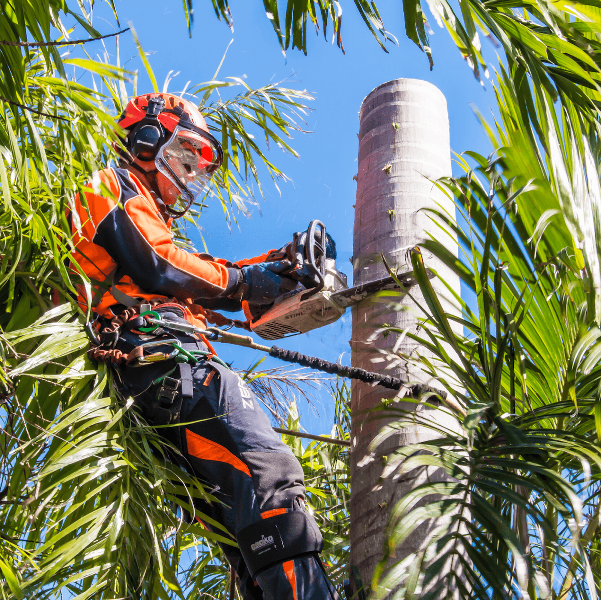 DAM Services - Diverse Asset Maintenance Services