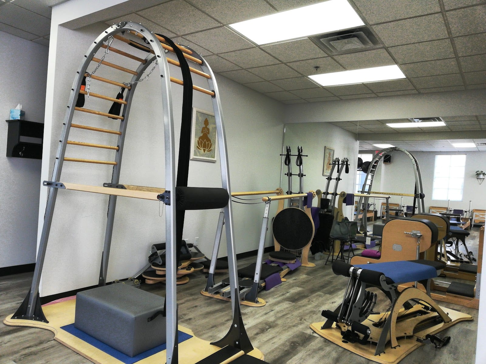 The Bend & Stretch