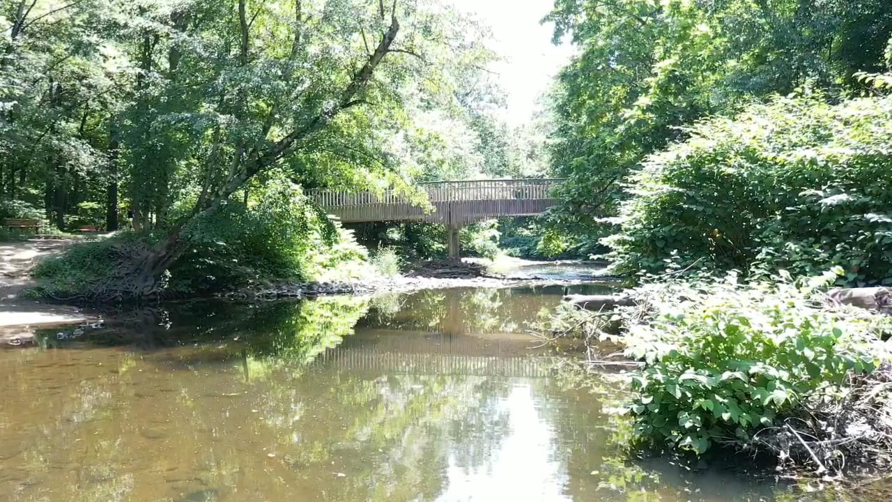Saddle River County Park - Dunkerhook Area, photo 2