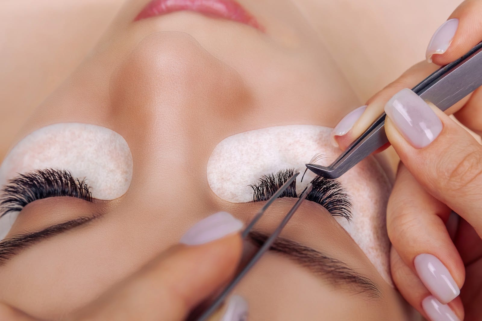Lisa's Lash, photo 2