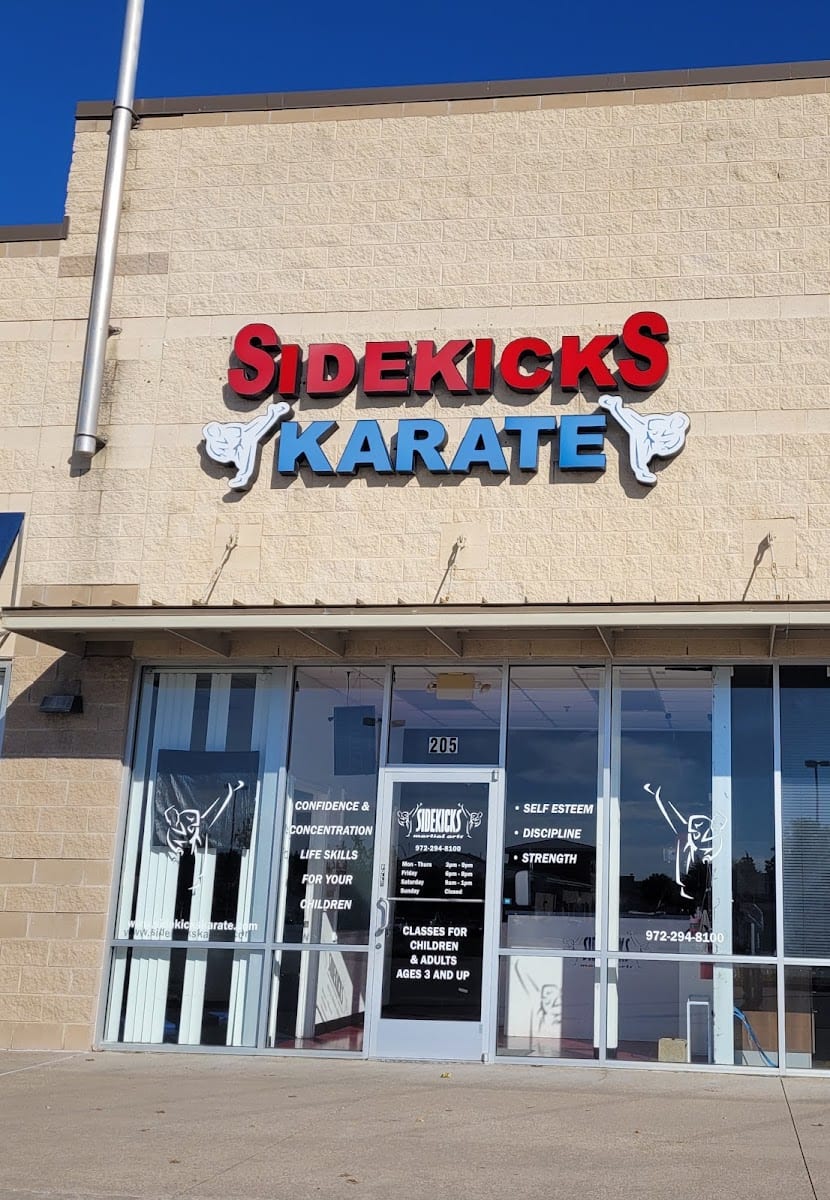 Sidekicks Martial Arts, photo 2