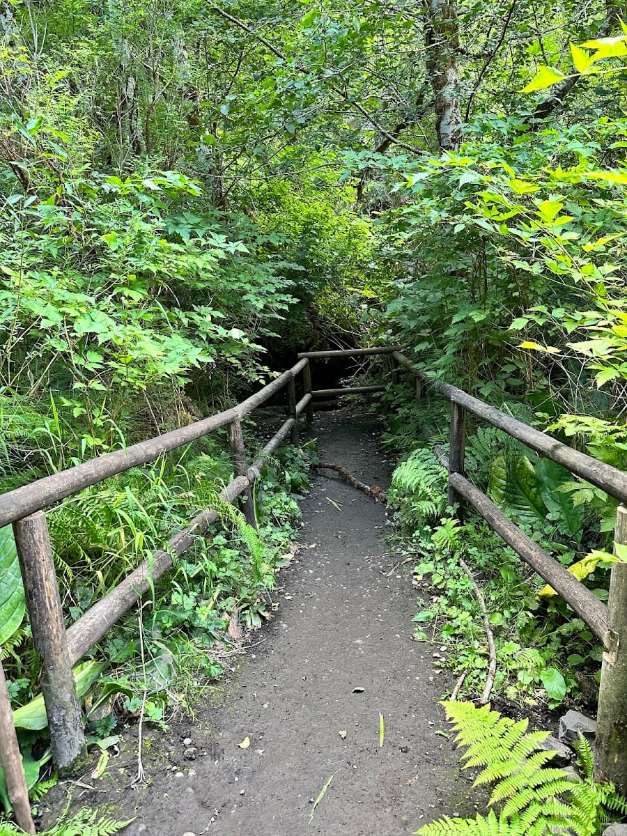 Watershed Park