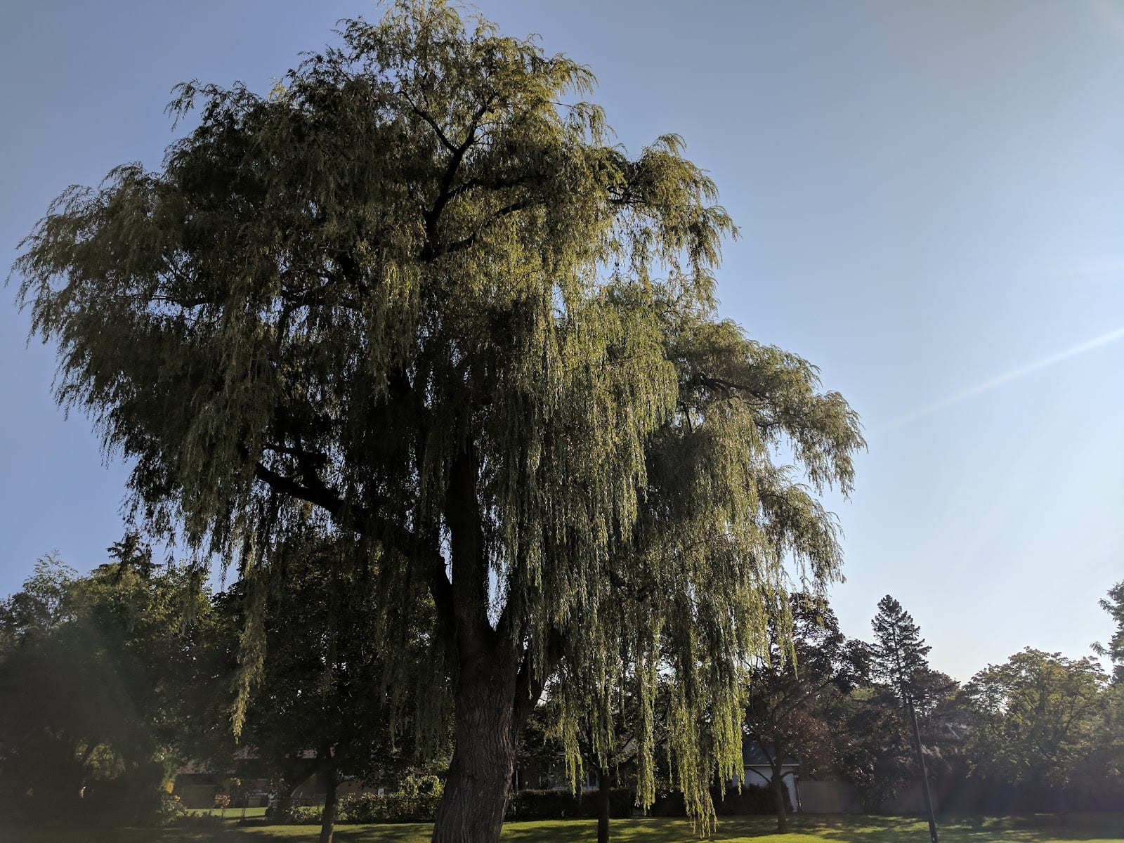 Stafford Park