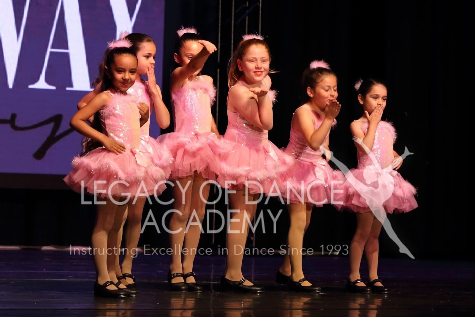 Legacy Of Dance Academy, photo 2