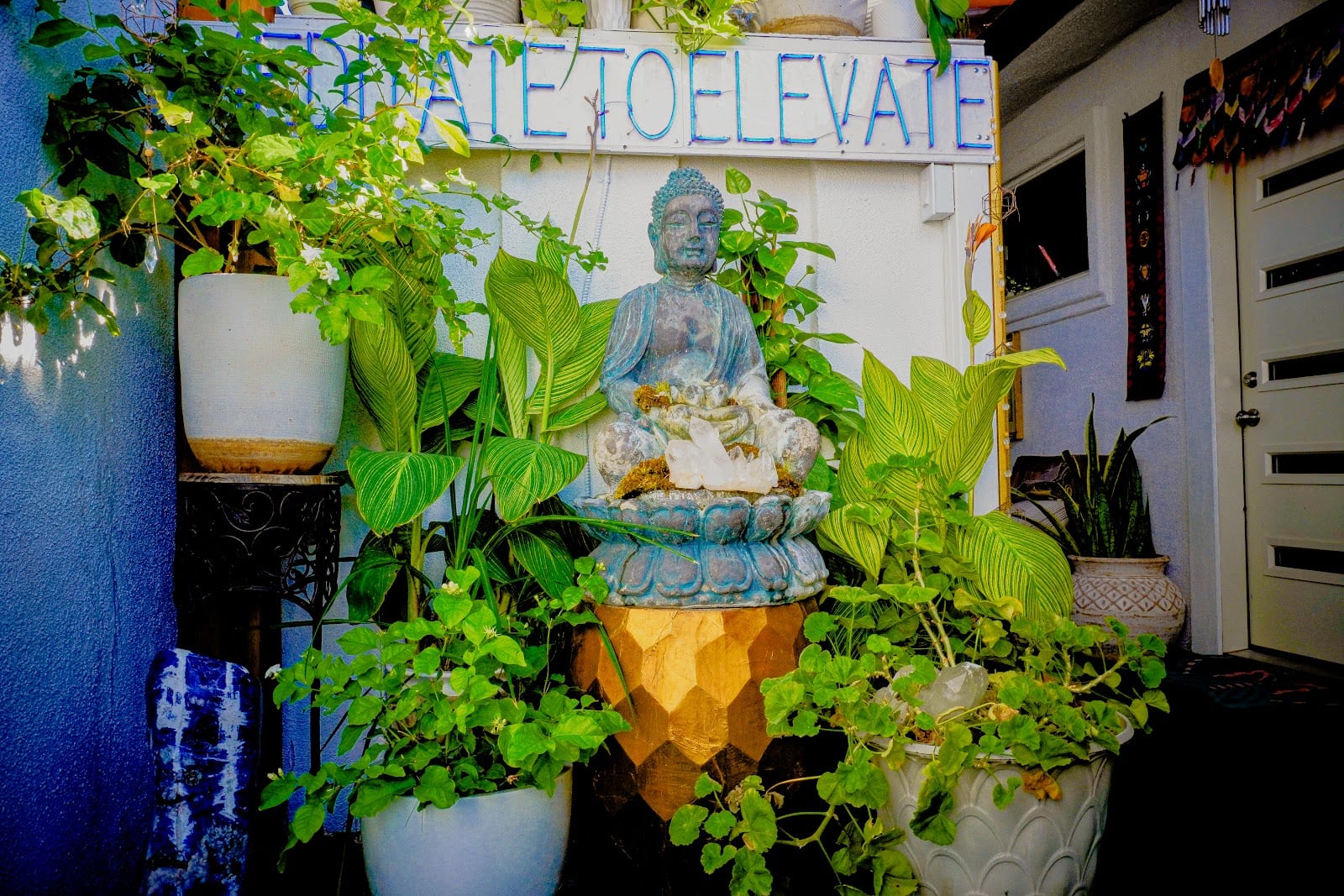 The MataJi Sanctuary