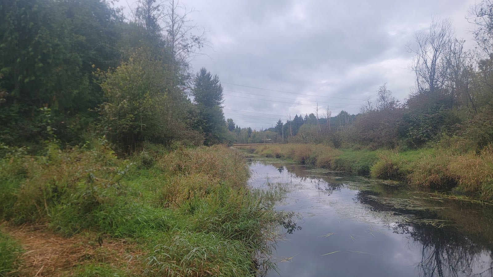 Black lake creek