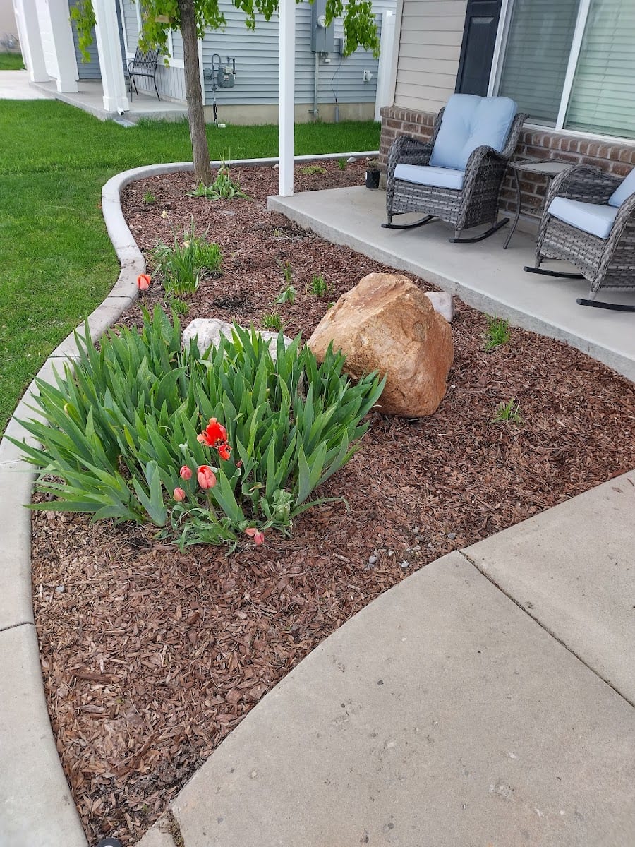 Cazares lawn care, photo 2
