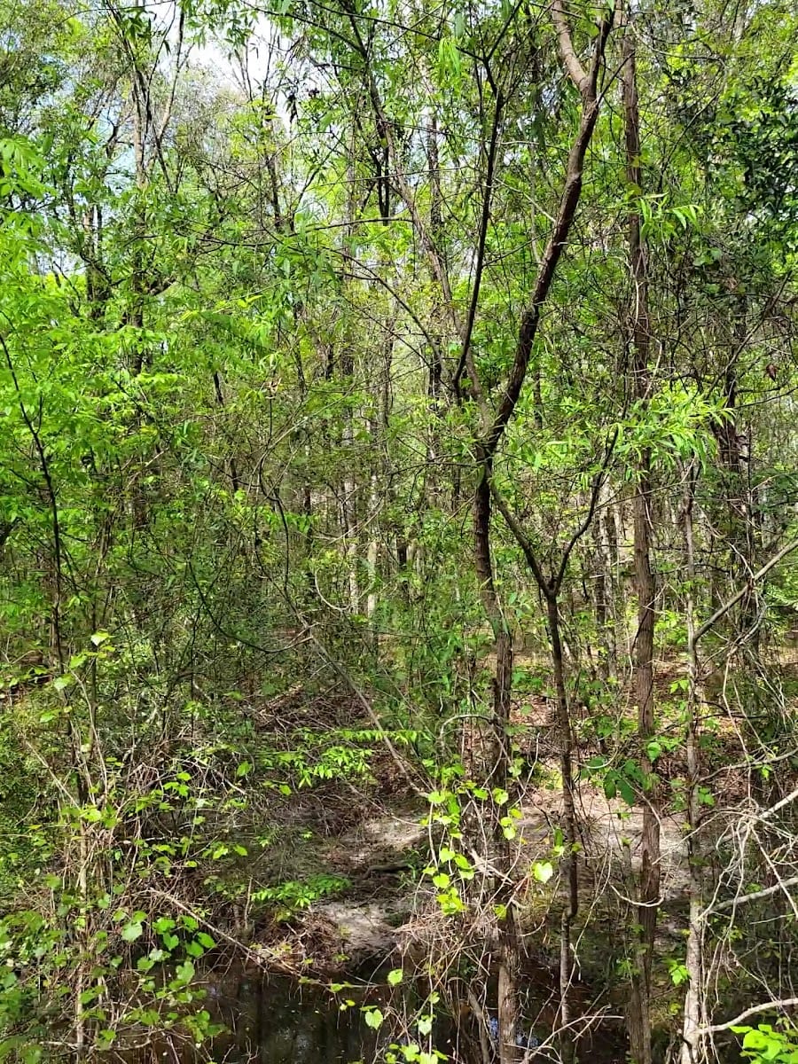 Belmore Wildlife Management Area, photo 2