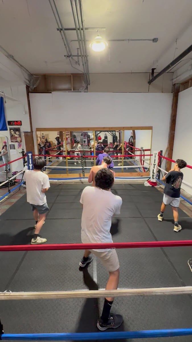 Brick3 boxing, photo 3