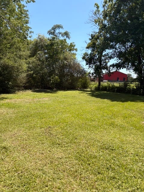 Neches Lawn and Landscaping Inc, photo 2