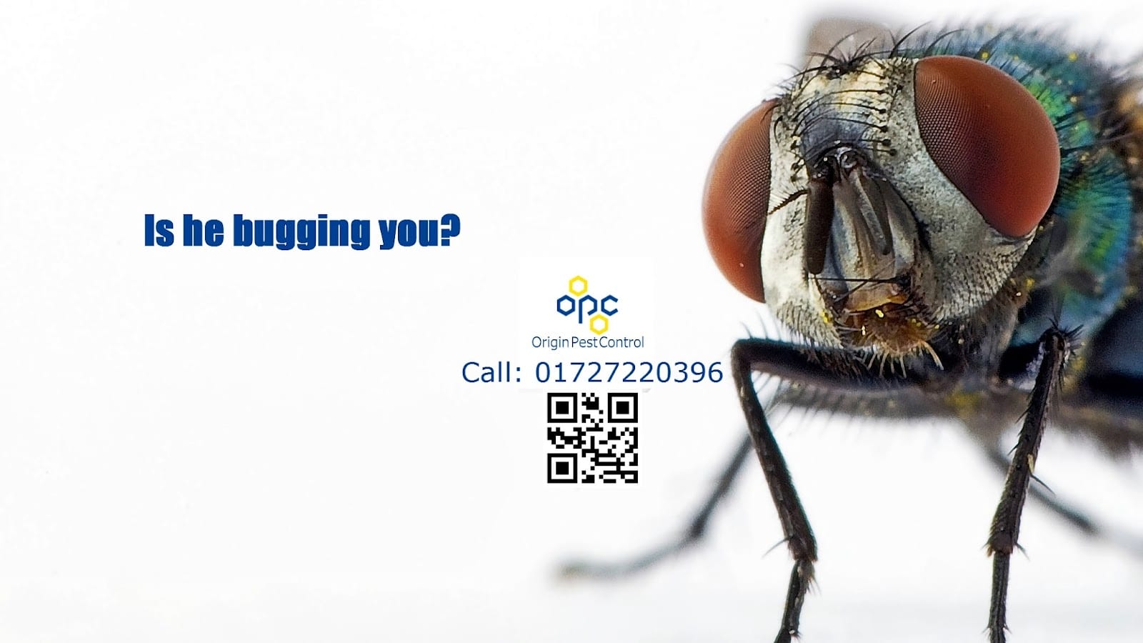Origin Pest Control, photo 2
