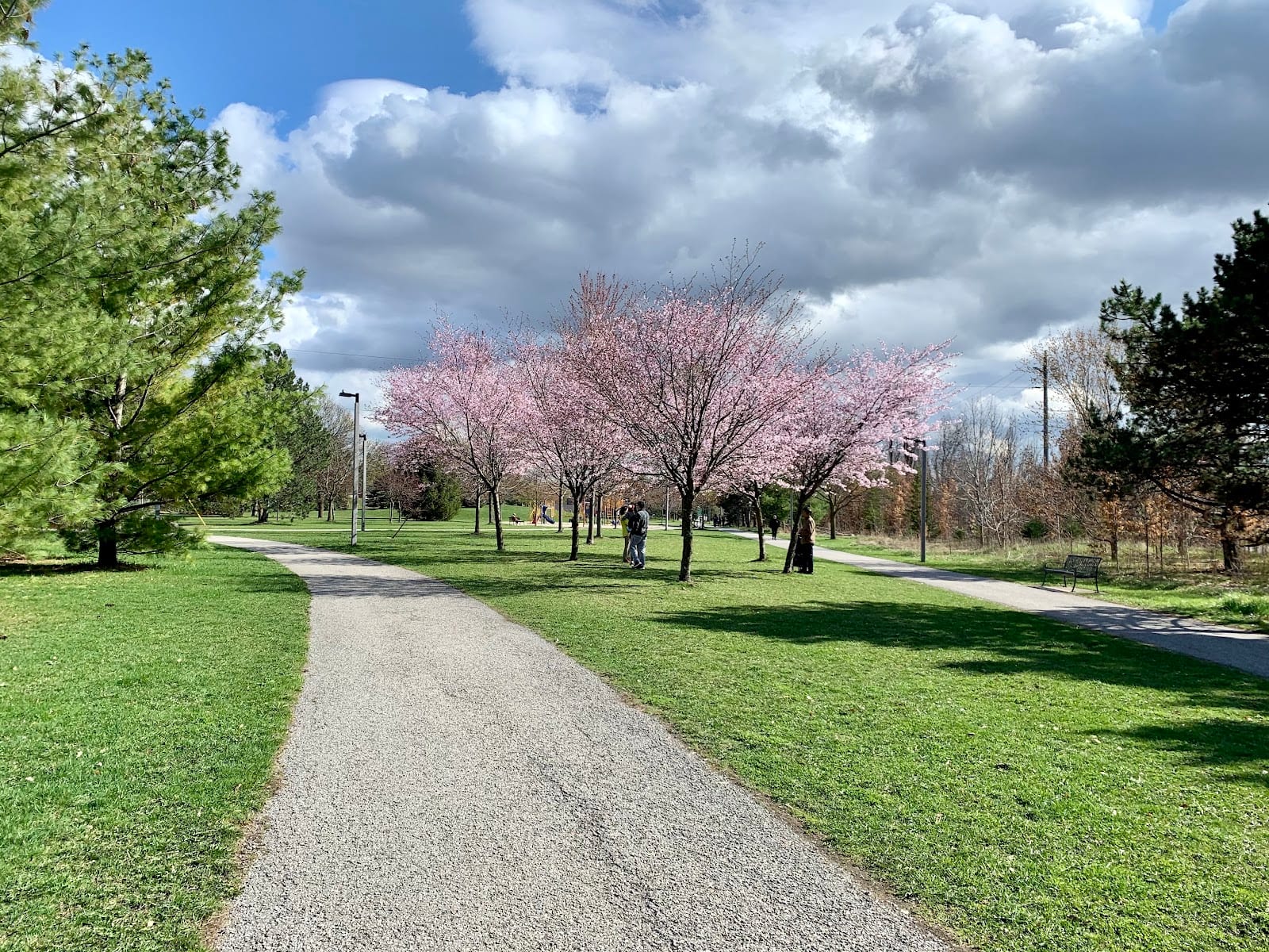 Sussex Park, photo 3