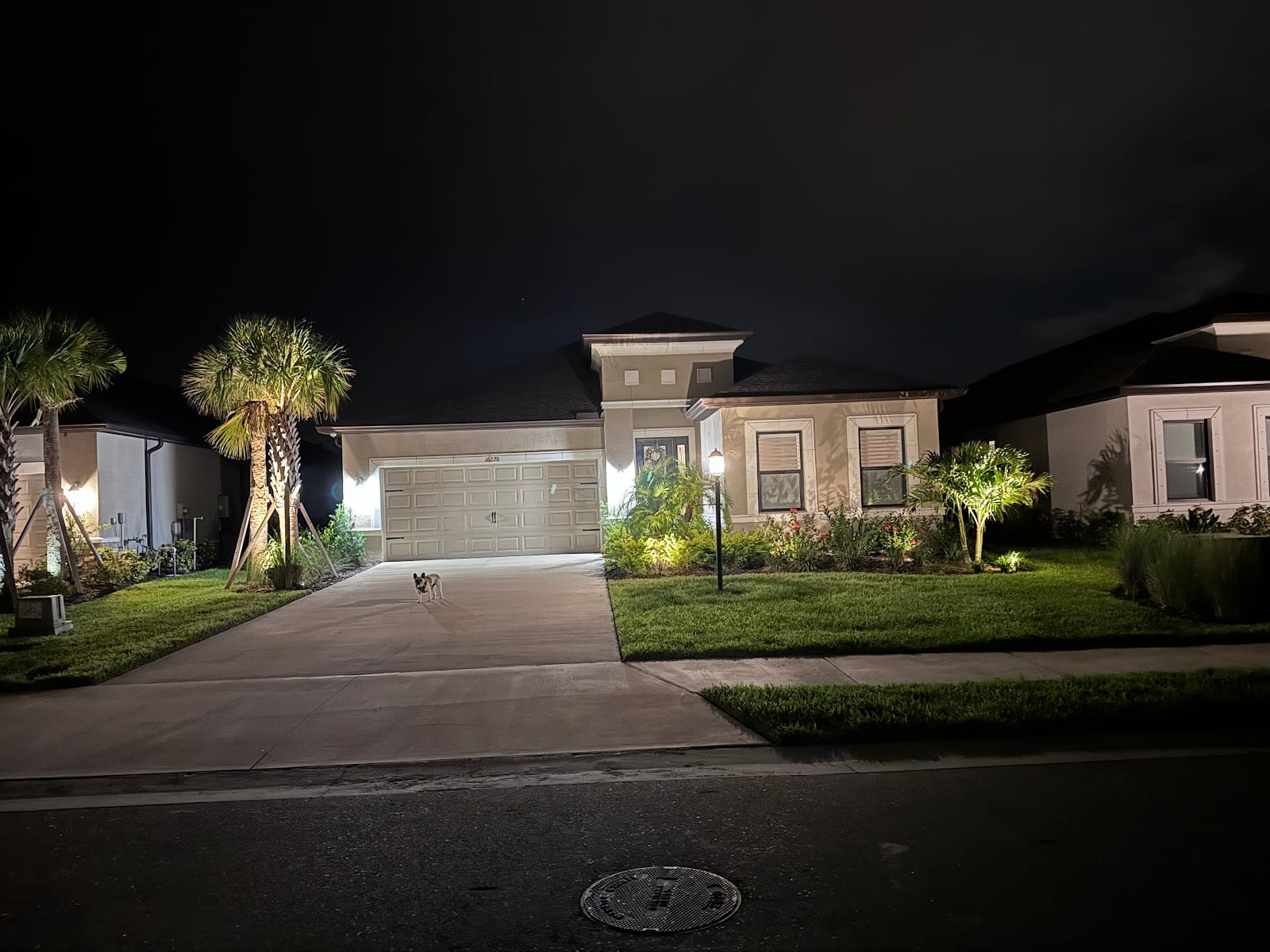 Uplight Pro Landscape Lighting, photo 3