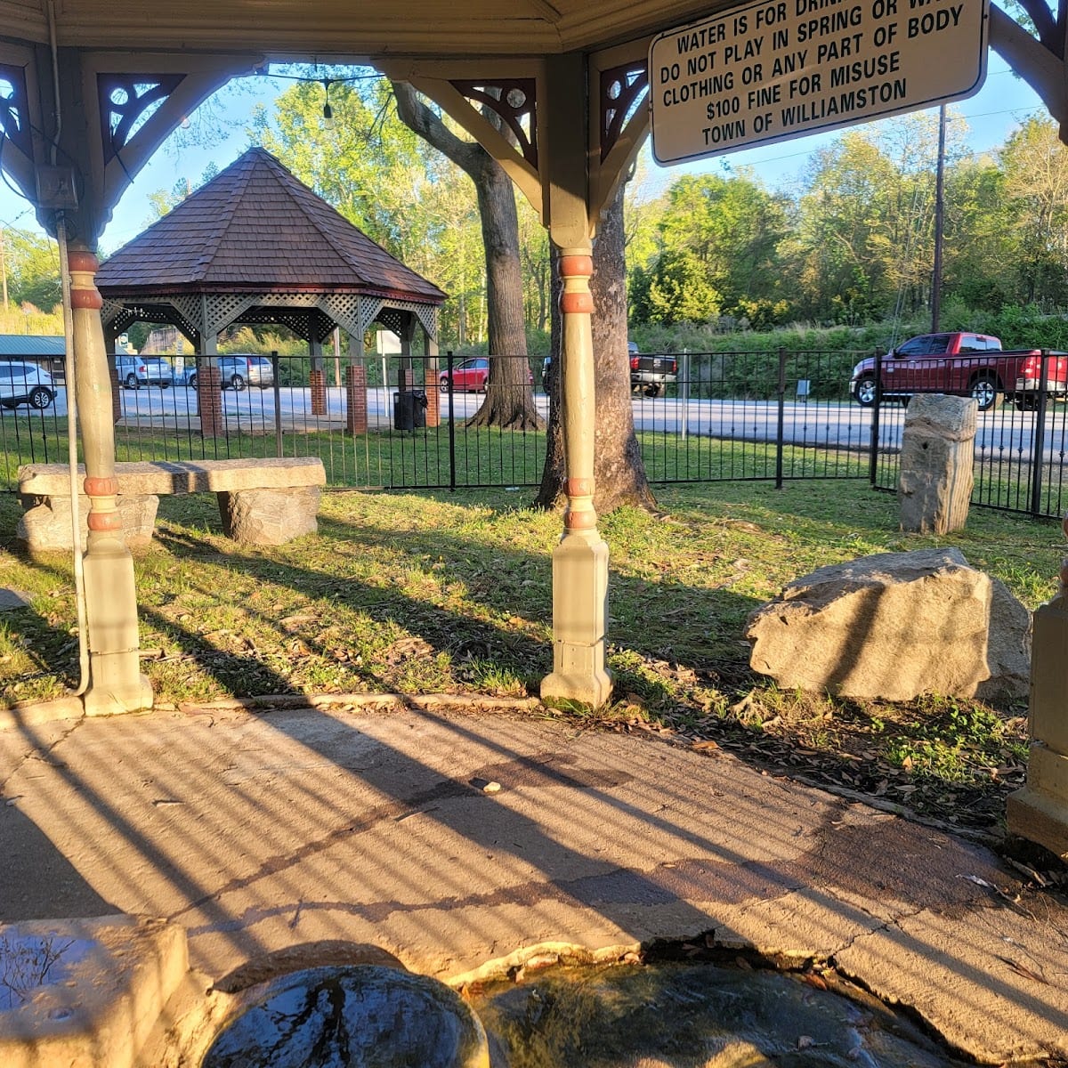 Williamston Mineral Spring Park, photo 3