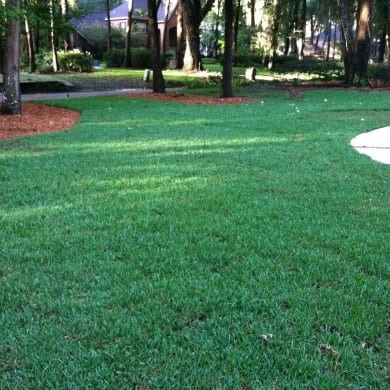 Mantis Services, Inc., photo 2