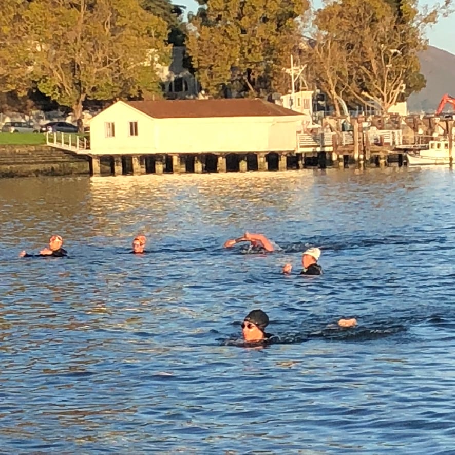 San Francisco Seals Swim Team