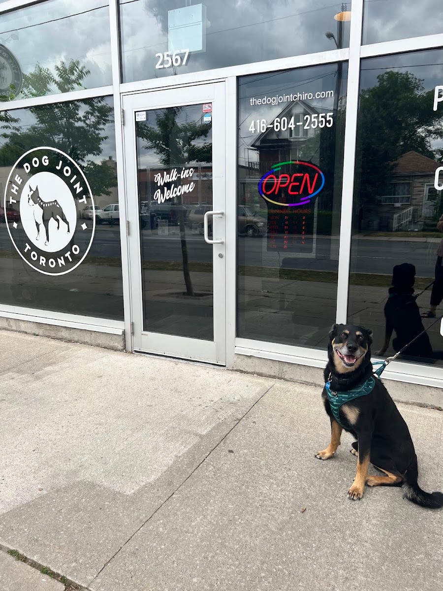 The Dog Joint & Stockyard Chiropractors, photo 3