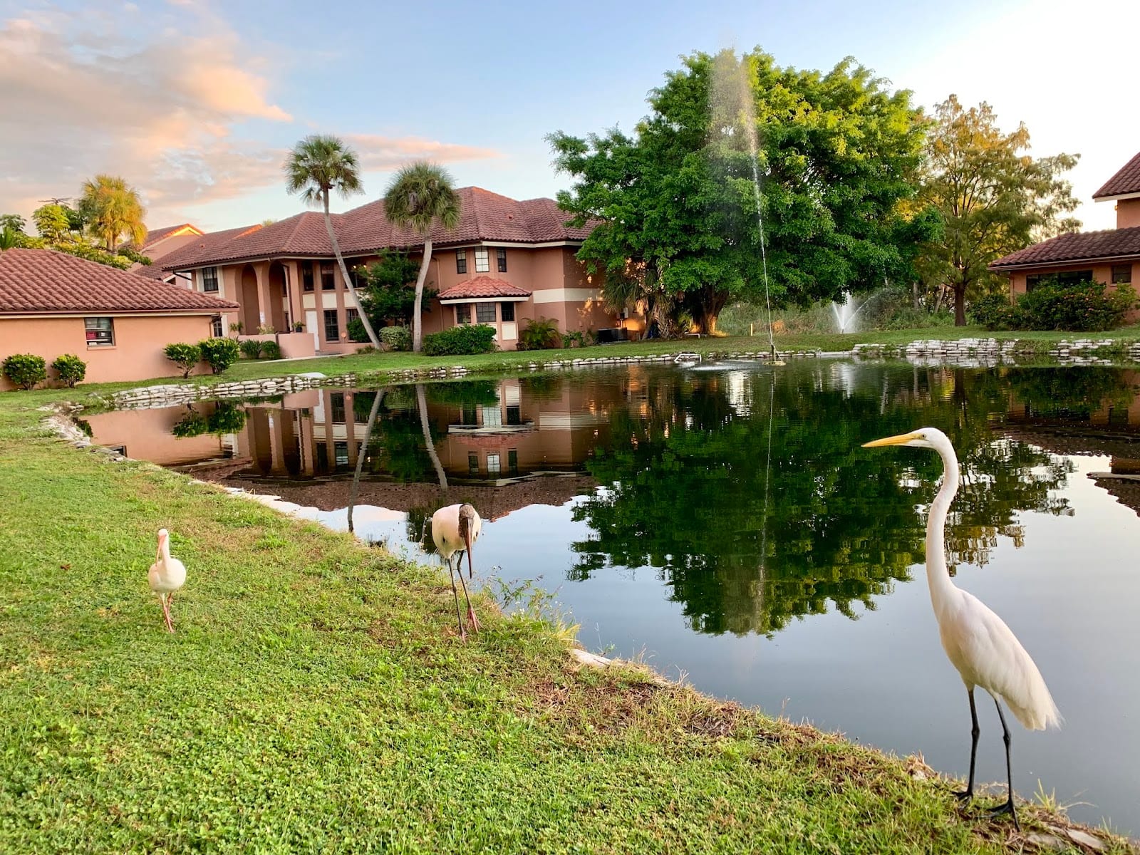 Pinnacle Community Association Management, photo 3
