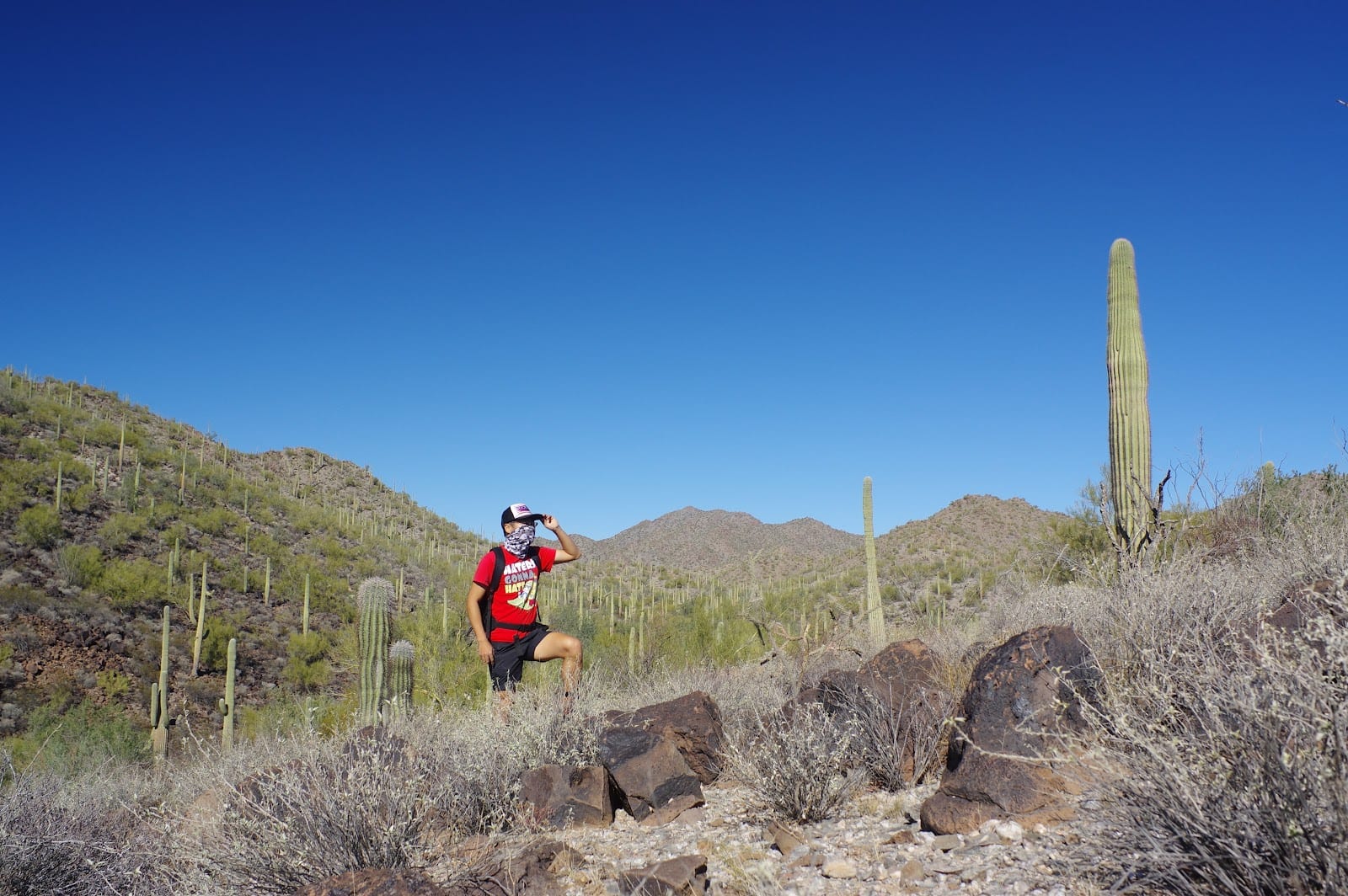 Table Top Mountain Wilderness Trailhead, photo 3