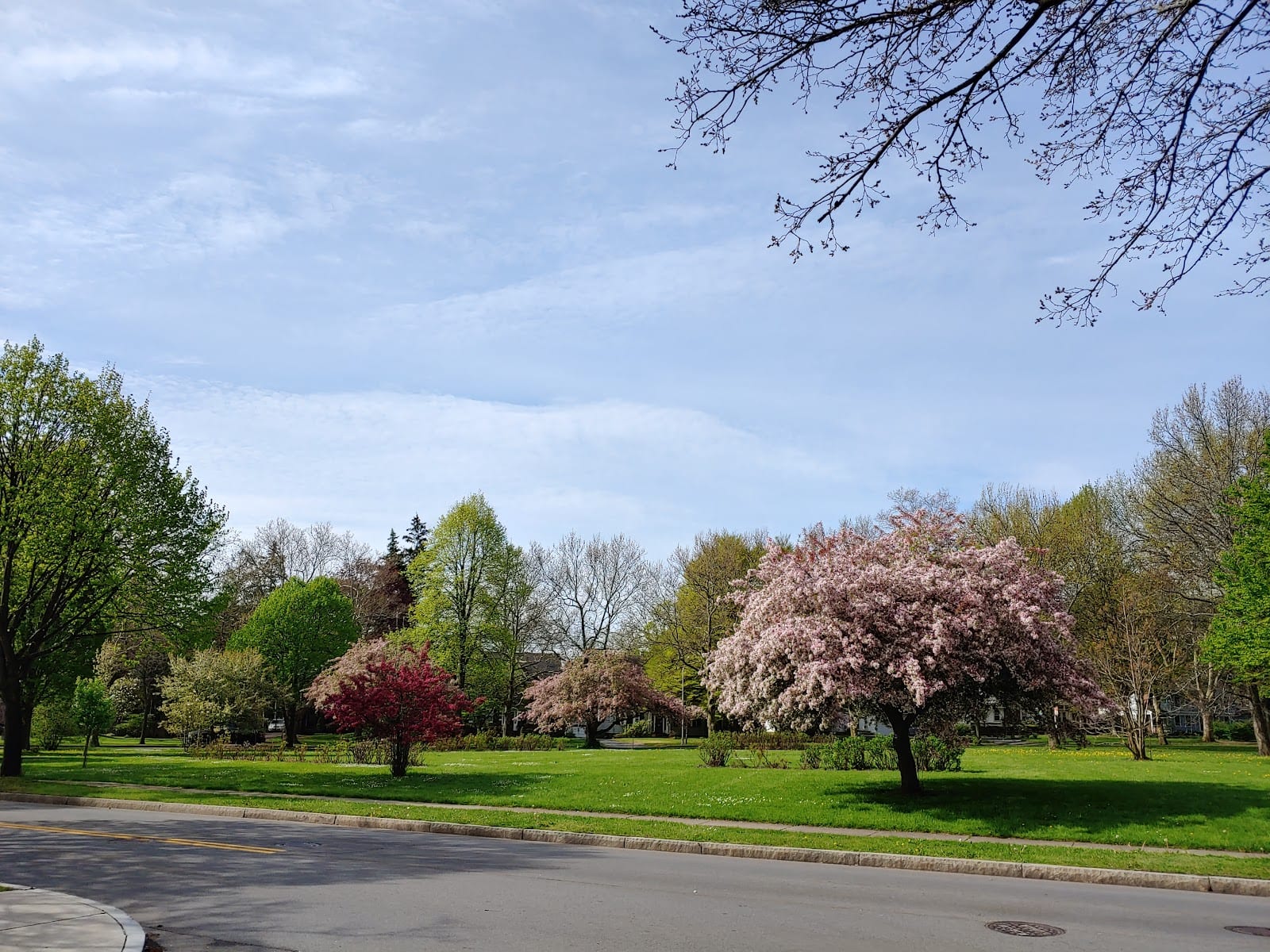Browncroft Rose Garden Park, photo 2