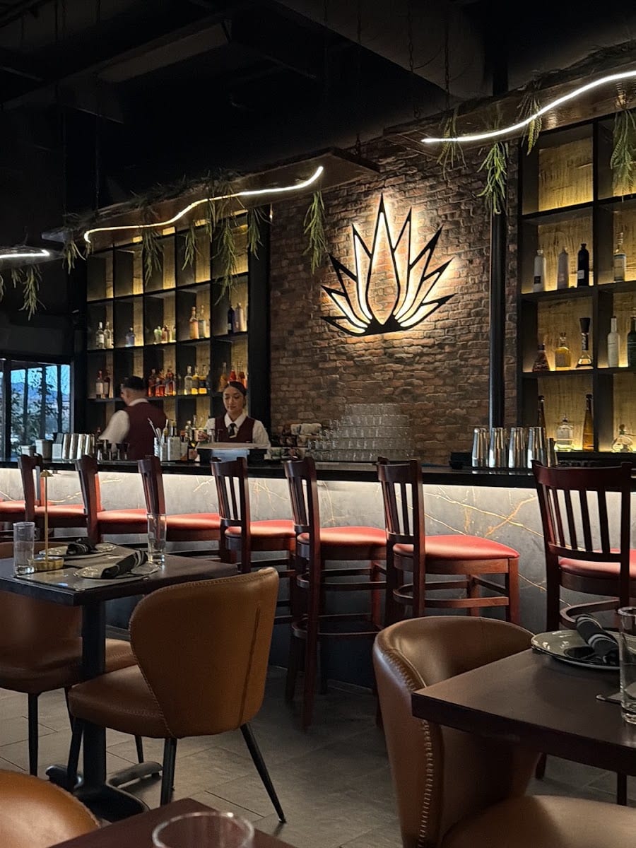 Miel de Agave Scottsdale