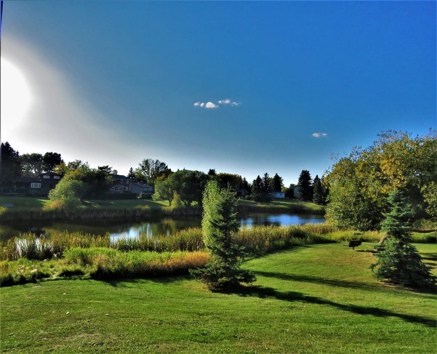 Woodbridge Farms, photo 3