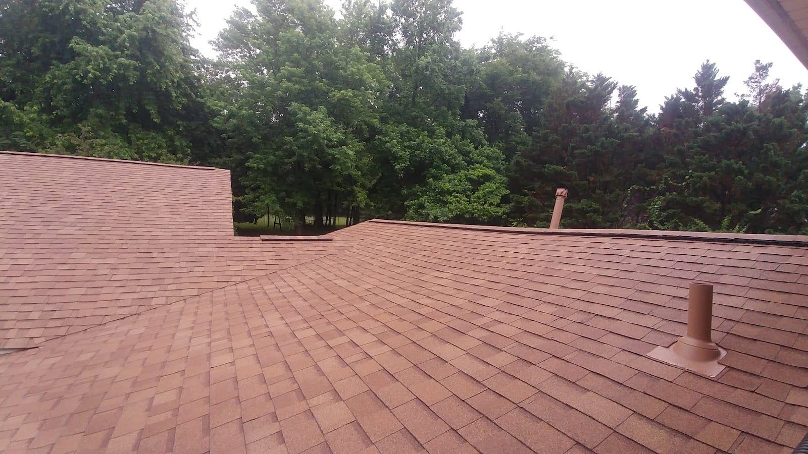 Buis Roofing & Softwash, LLC