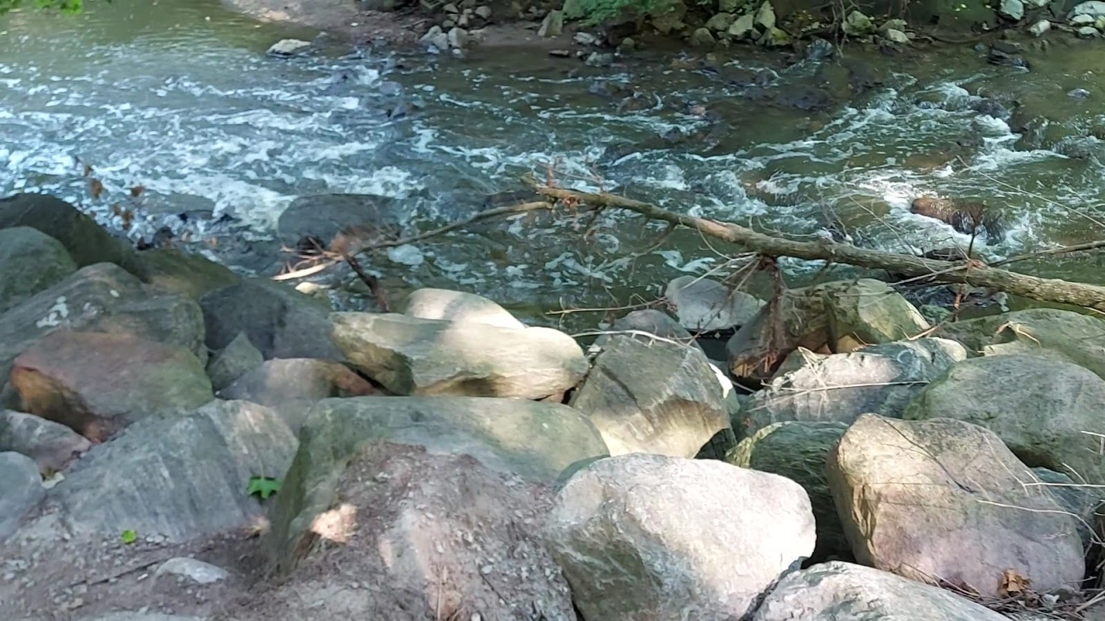 Upper Don Recreation Trail, photo 2