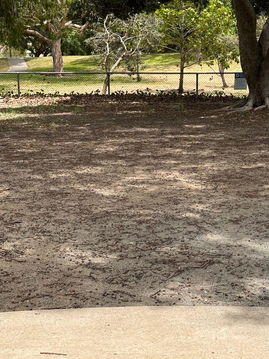 Mackay Off Lead Fenced Dog Park, photo 3