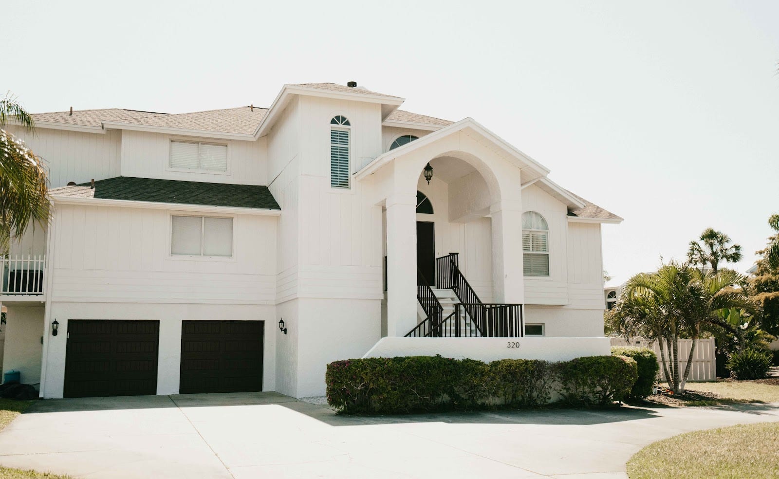 Sarasota Painters, photo 4