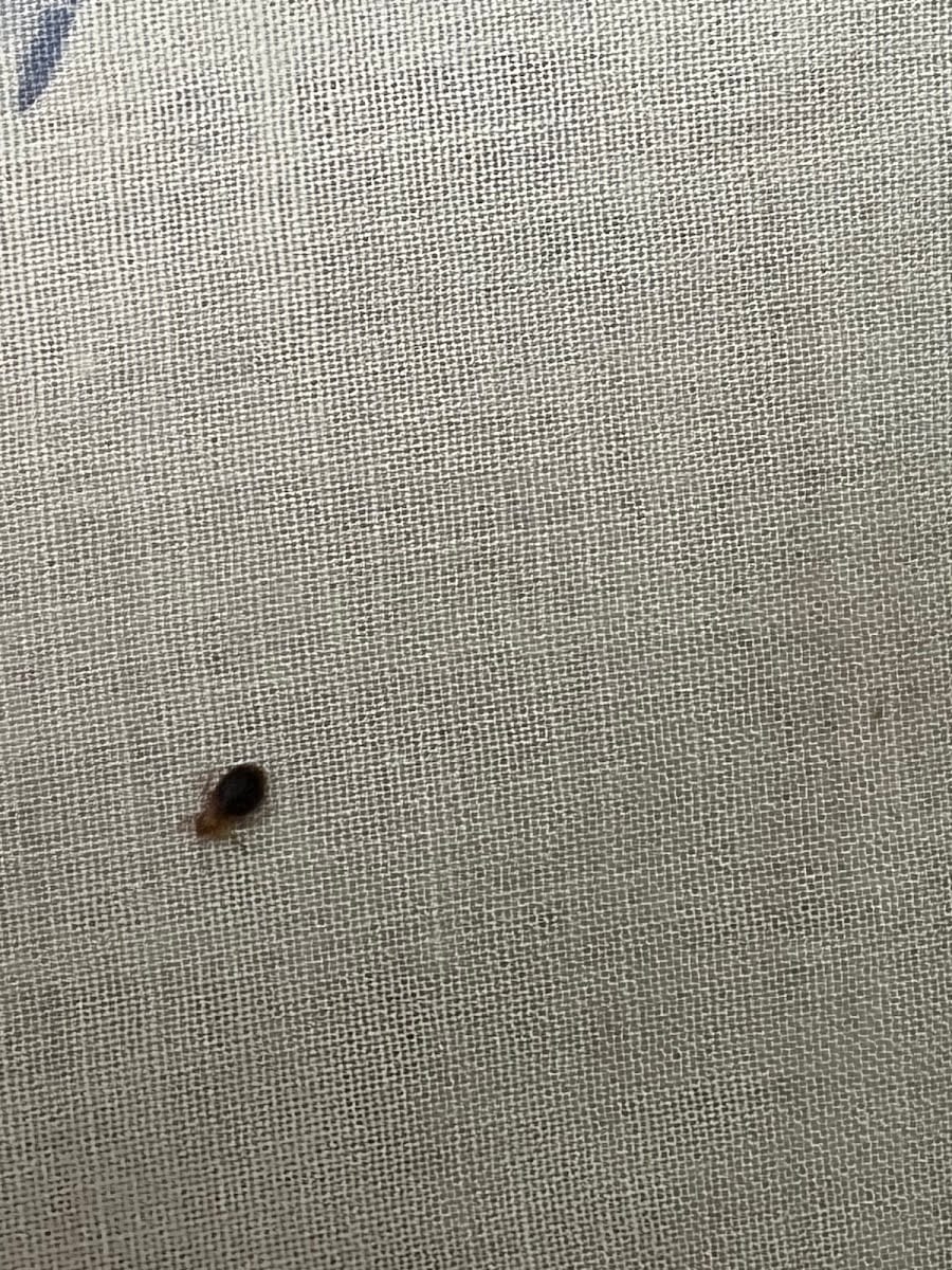 Best Termite & Pest Control Inc, photo 3