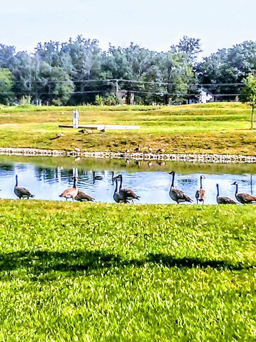 Praise Park