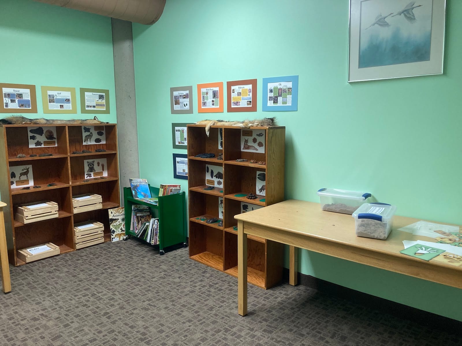 Mason Wildlife Exhibit