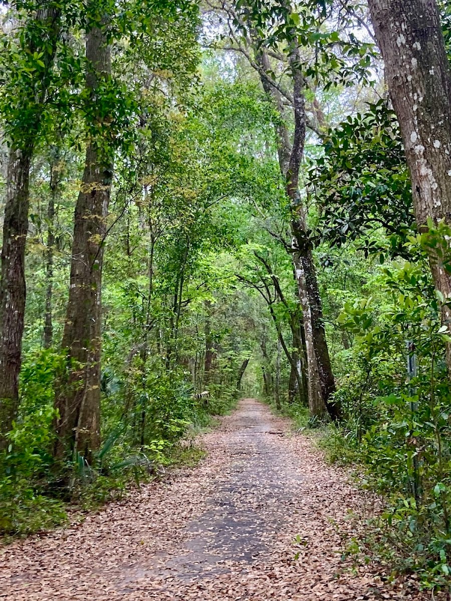 Black Creek Park and Trail