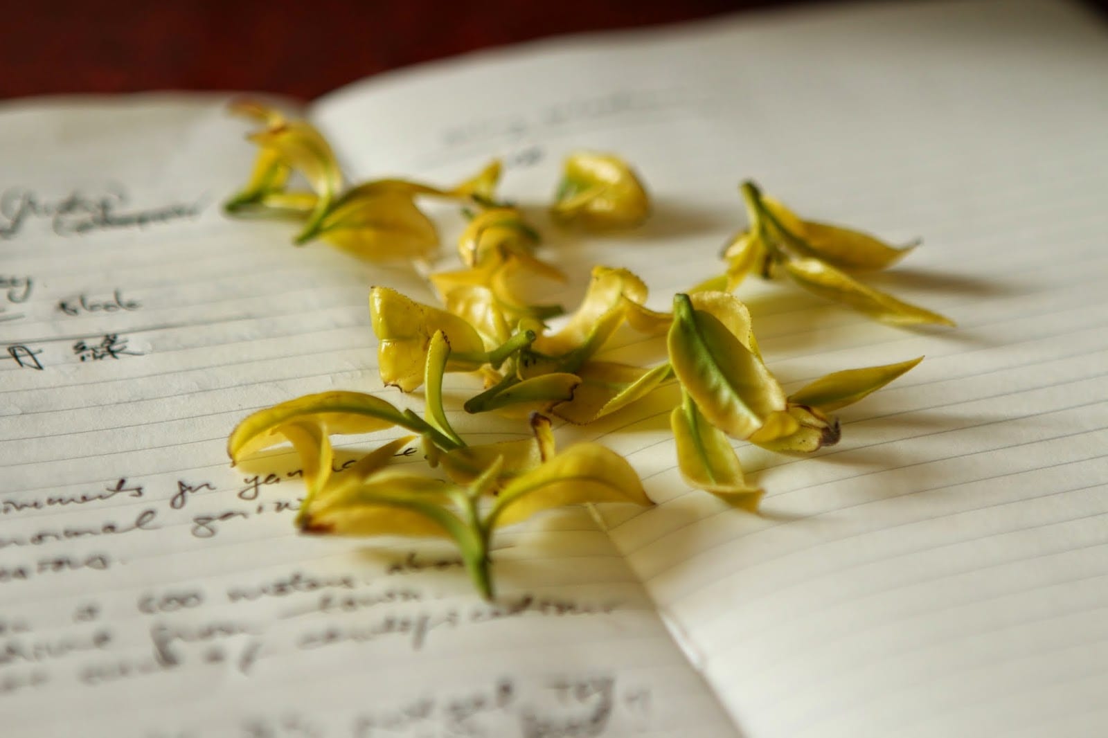 Song Tea & Ceramics