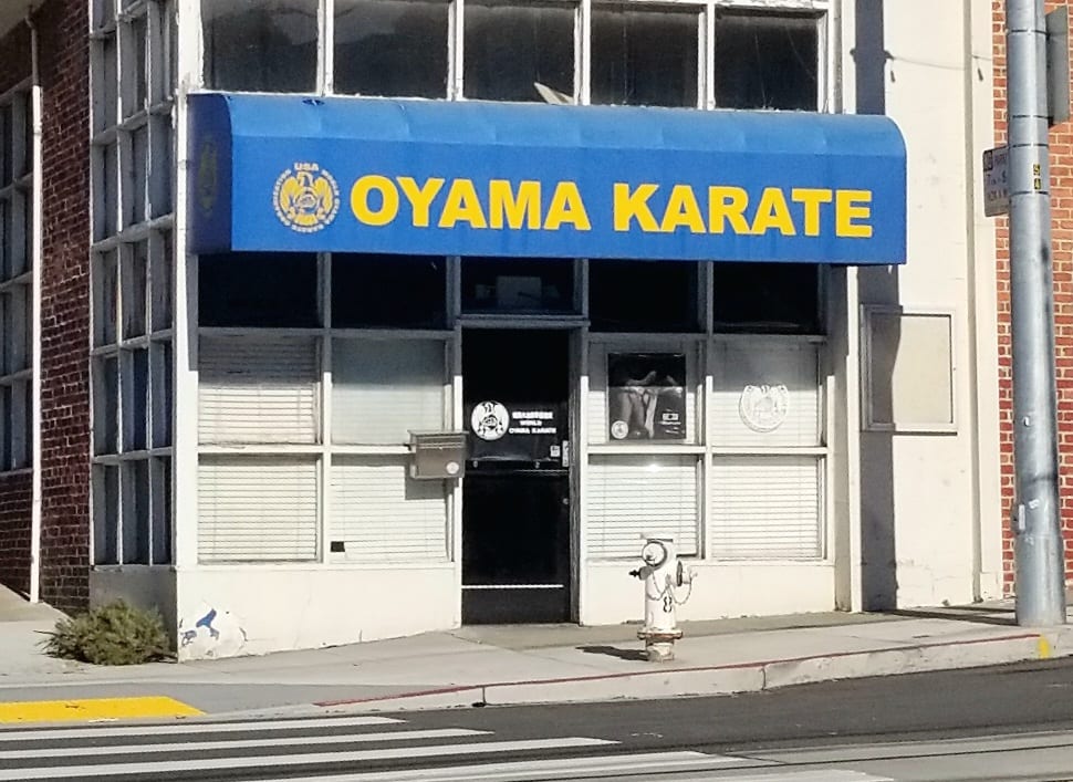 World Oyama Karate, photo 2