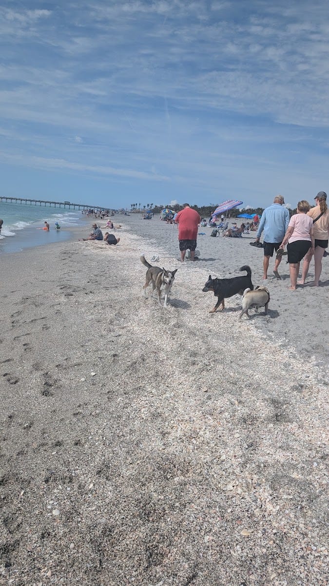 Paw Park Beach