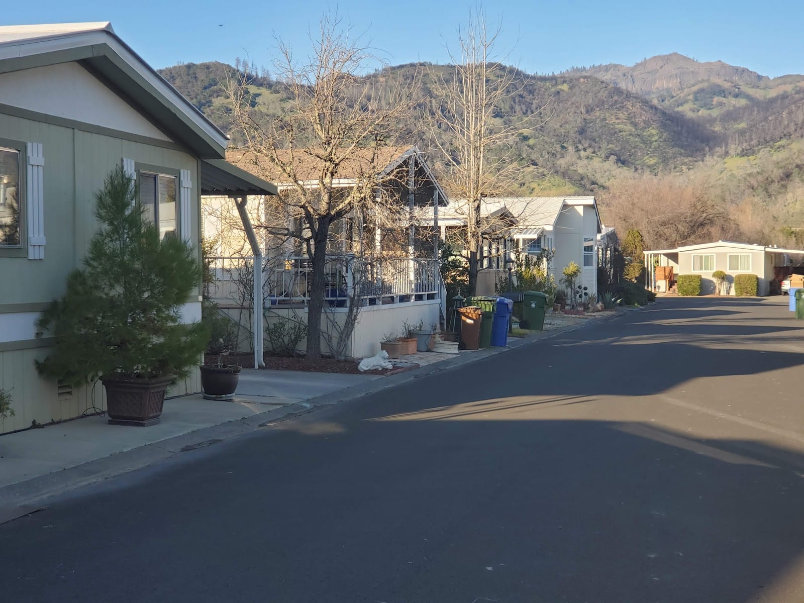 Calistoga Springs