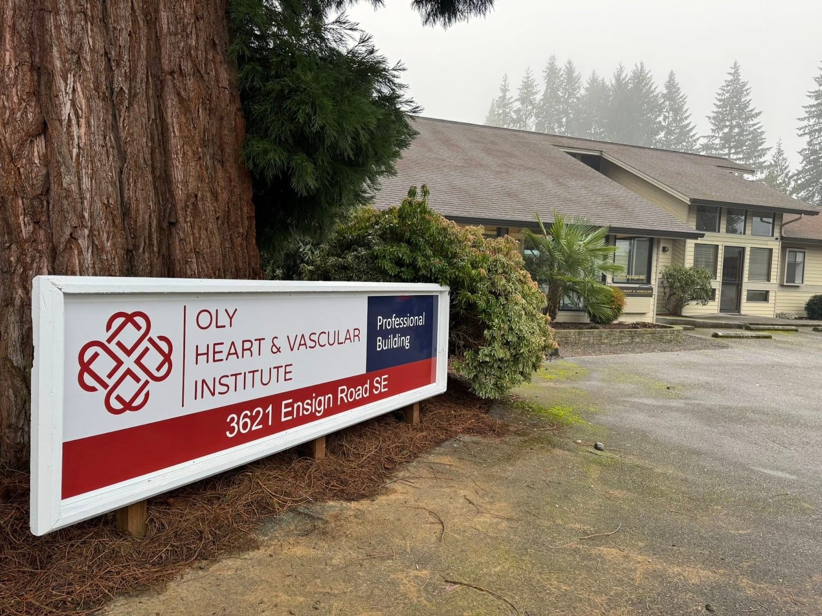 Oly Heart & Vascular Institute, photo 2