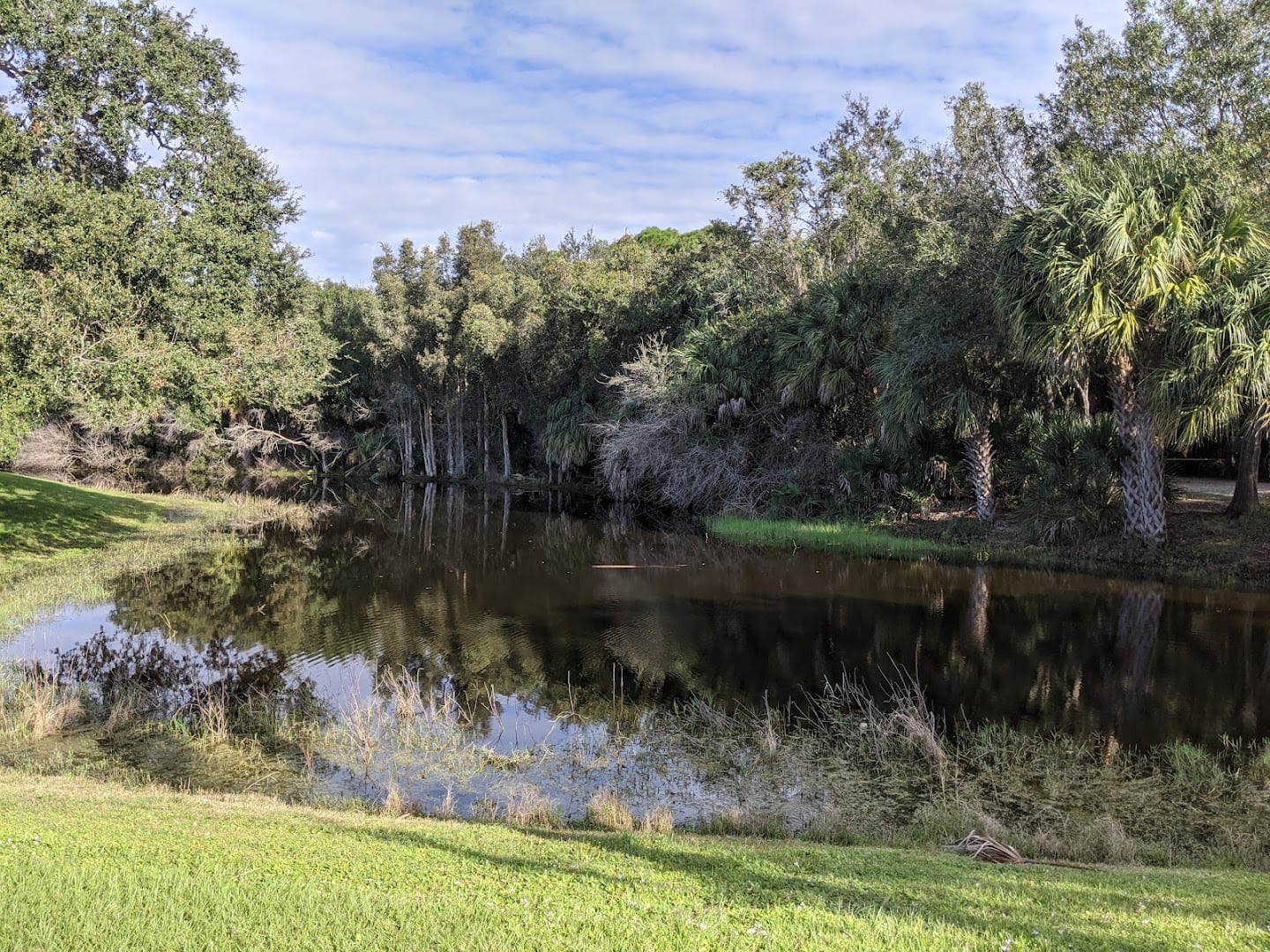 Larry Taylor Kiwanis Park, photo 4