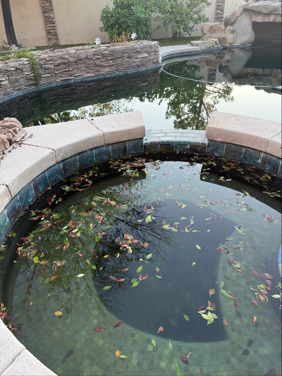 Gold Cactus Pool Services, photo 3
