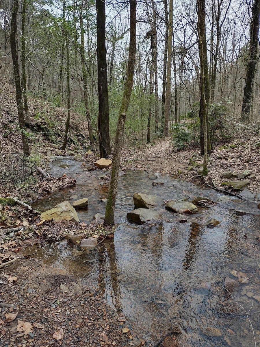 River Mountain Park, photo 3