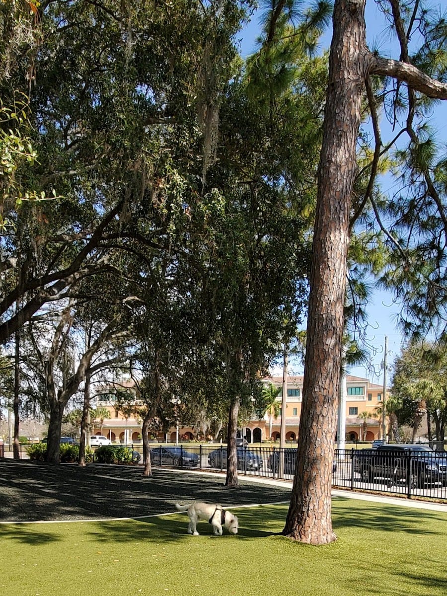 Queenie's Dog Park
