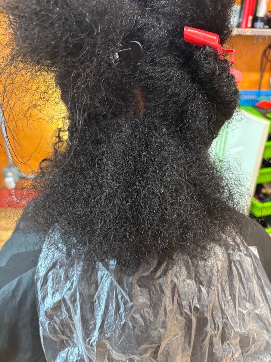 Snip 2 Curl