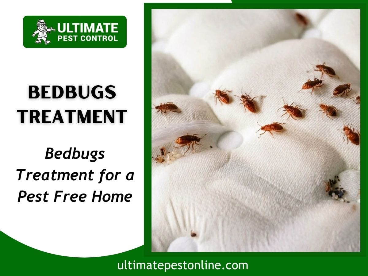 Ultimate Pest Control, photo 4
