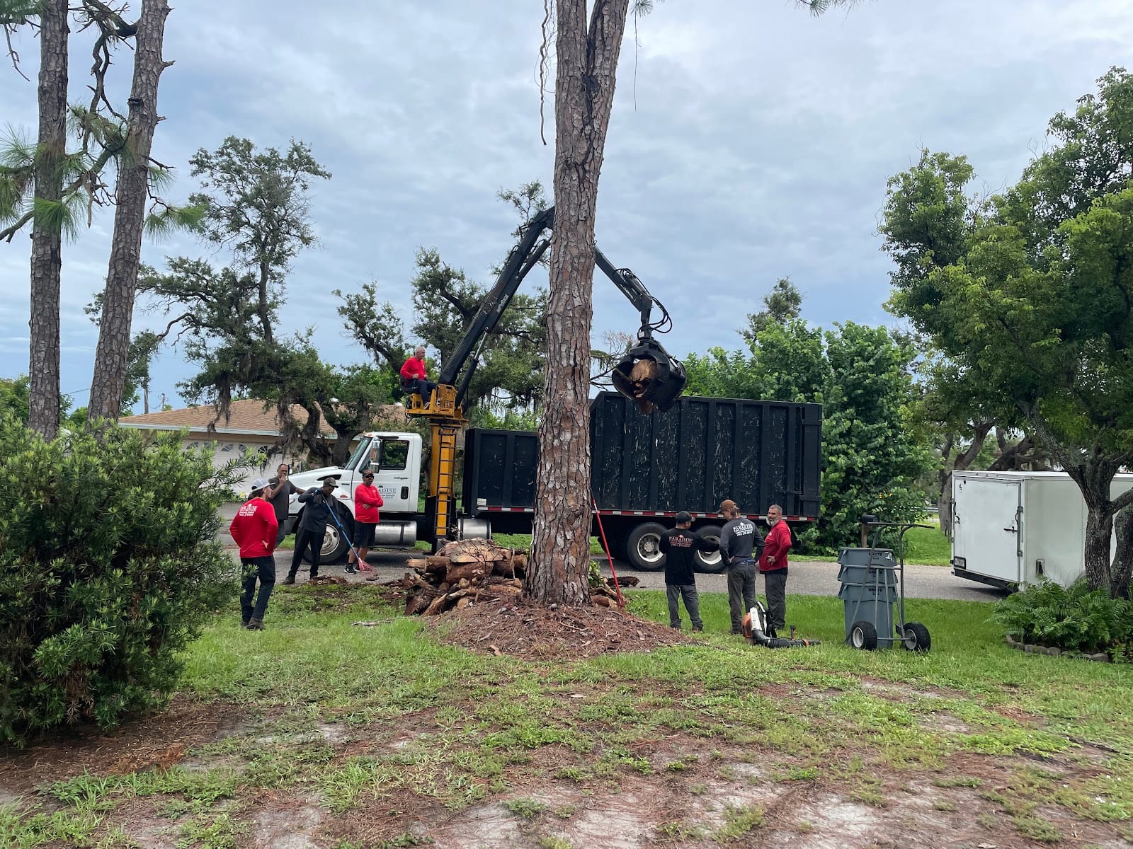 Paradise Lawn And Tree Service, Inc, photo 2